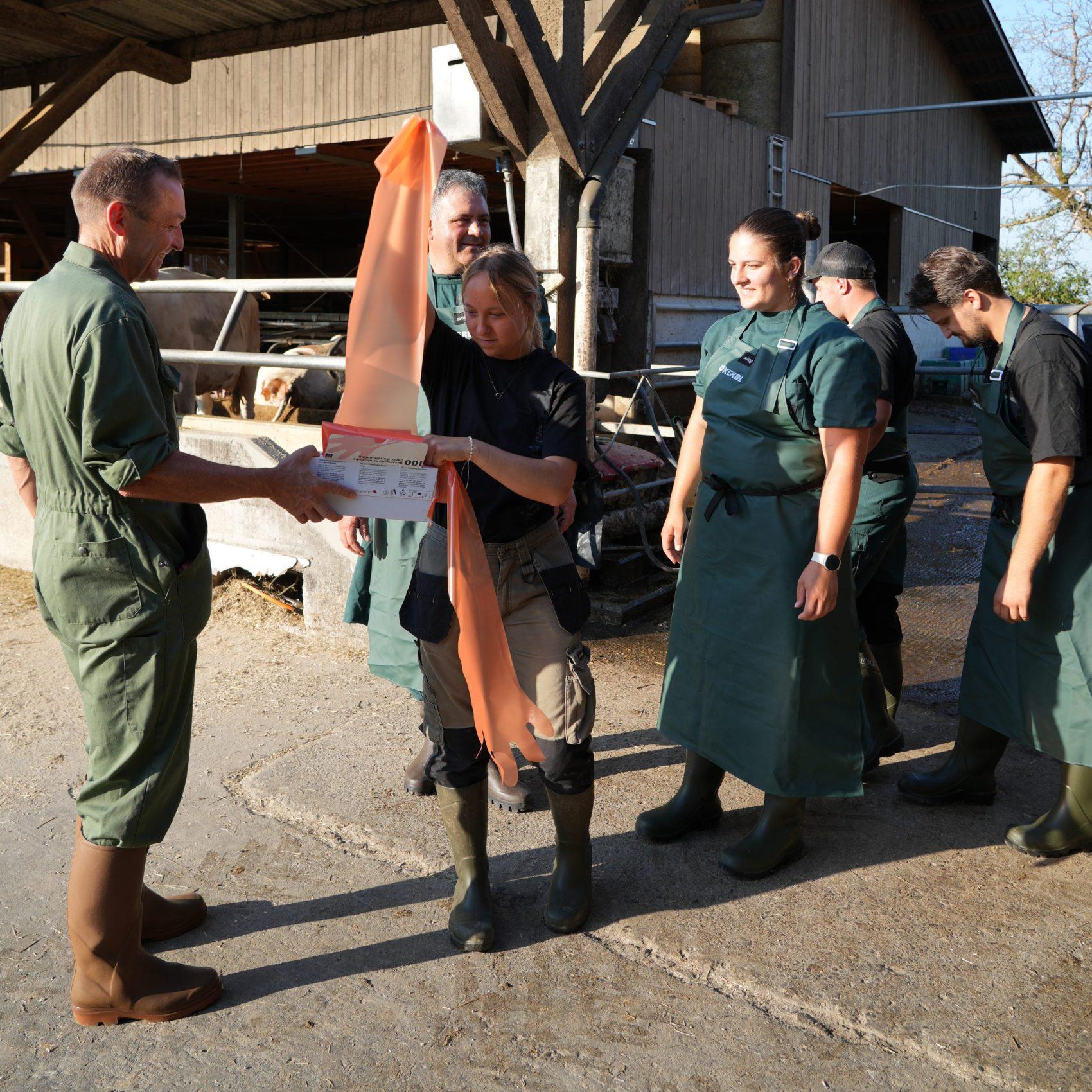 La formation des inséminateurs requiert des exercices sur vaches vivantes, rendus possibles par des partenariats avec des exploitations d’engraissement.