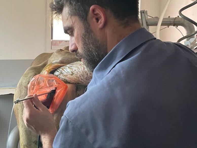 La ponction ovocytaire ambulatoire à Bütschwil permet une collecte efficace et respectueuse des animaux, avec des processus optimisés et une infrastructure moderne.