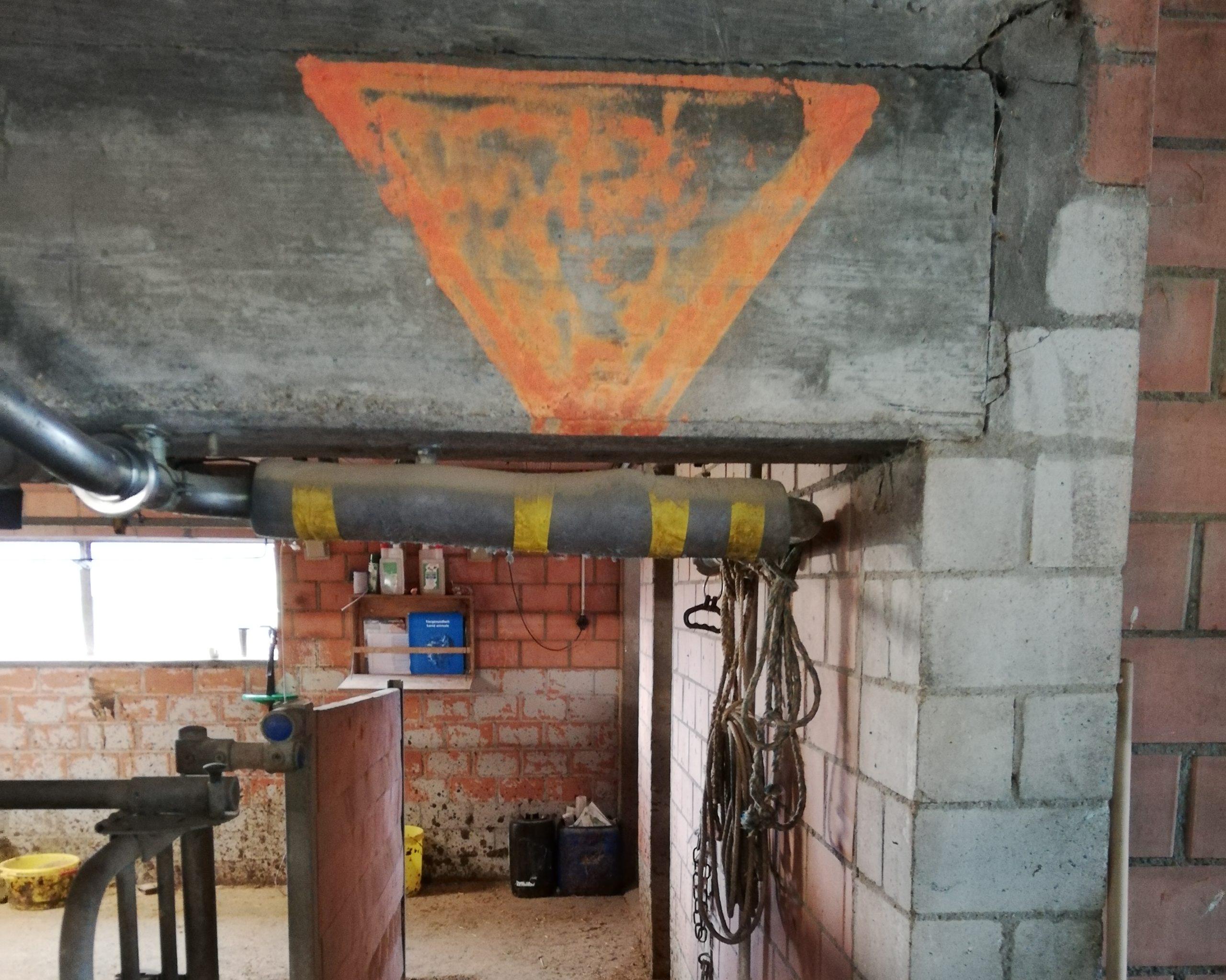 Sicheres Arbeiten beim Besamen erfordert gut markierte Wege, angepasste Stallhaltung und bewusste Vorbereitung, um Unfälle bei Tier und Personal zu vermeiden.