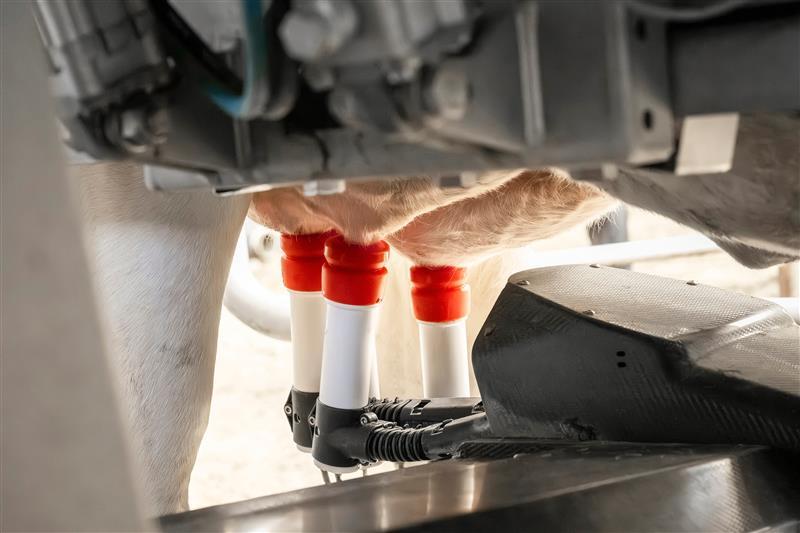 Abgestimmte Produkte für Roboterbetriebe für Euterhygiene, Zitzendesinfektion und Ergänzungsfütterung.